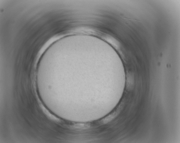 X0000082681478200702232125