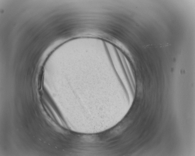 X0000082681480200702232125