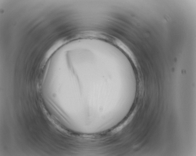 X0000082681481200702232125