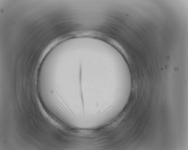 X0000082681483200702232125