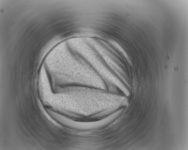 X0000082681484200702232125