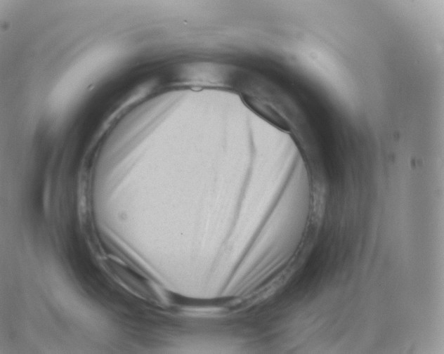 X0000082681487200702232125