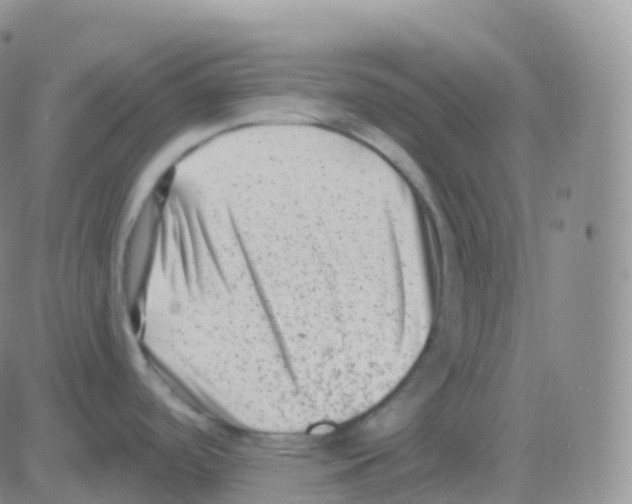 X0000082681488200702232125