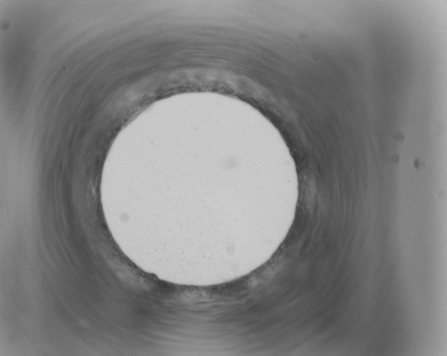 X0000082681489200702232124