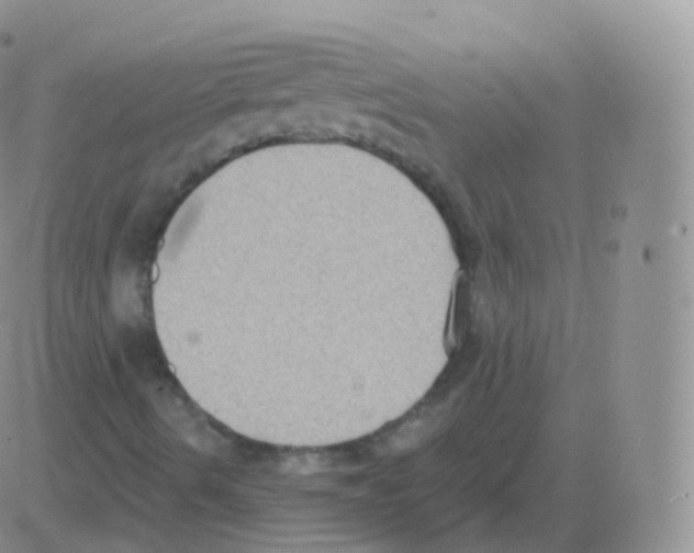 X0000082681490200702232124