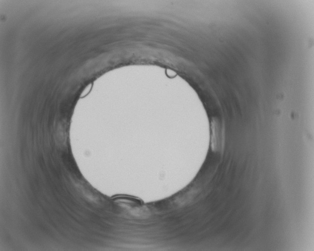 X0000082681491200702232124