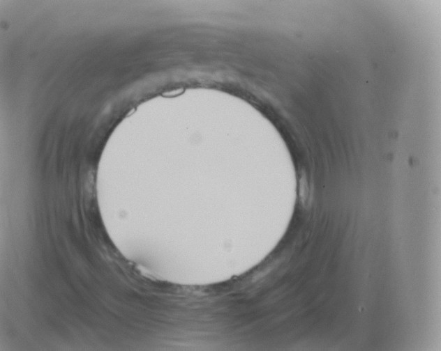 X0000082681492200702232124