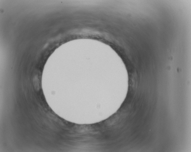 X0000082681493200702232124