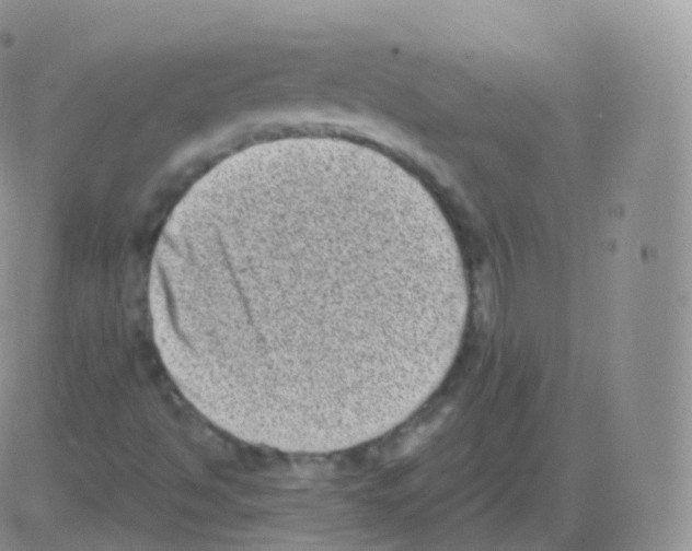 X0000082681494200702232124