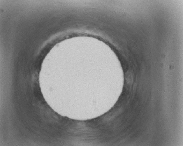 X0000082681495200702232124