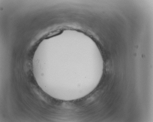 X0000082681496200702232124