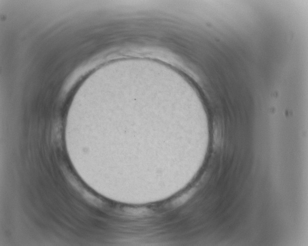 X0000082681498200702232124