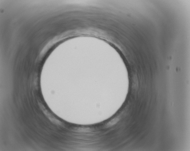 X0000082681499200702232124