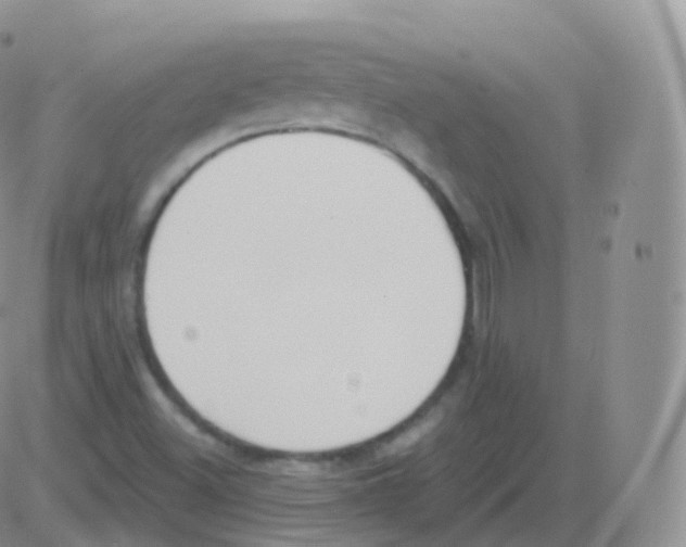 X0000082681500200702232124