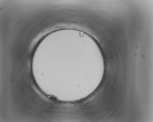 X0000082681503200702232125