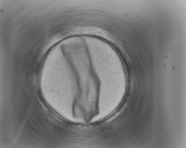 X0000082681505200702232125