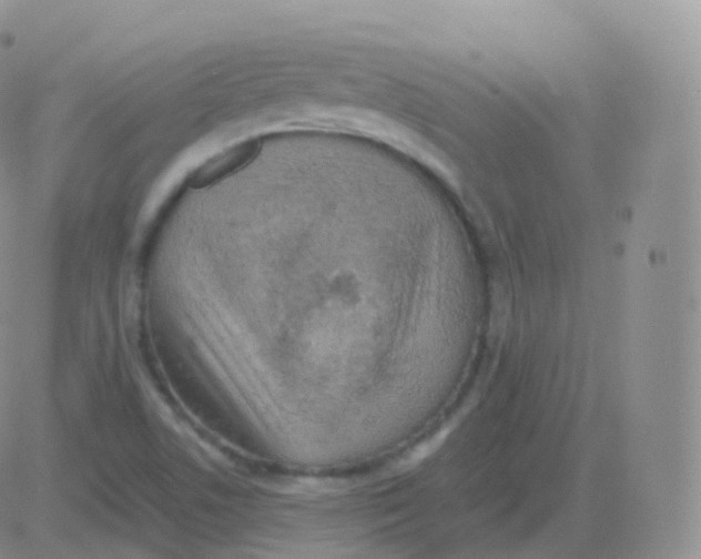 X0000082681506200702232125