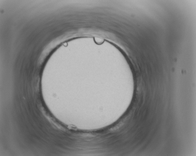 X0000082681507200702232125