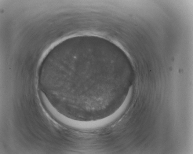 X0000082681508200702232125