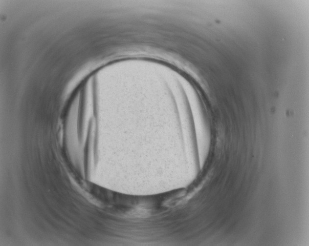 X0000082681509200702232125