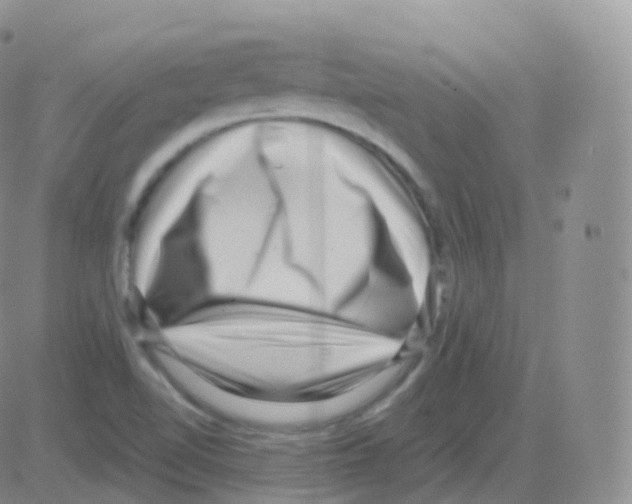 X0000082681510200702232125