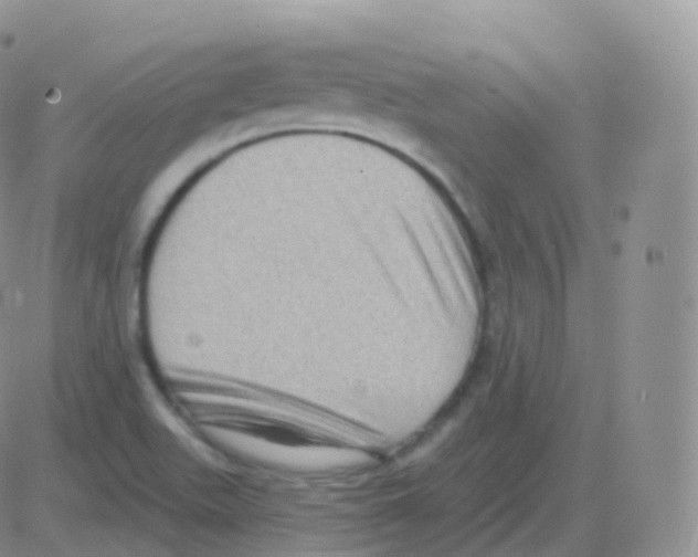 X0000082681511200702232125