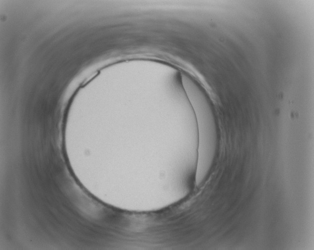 X0000082681512200702232125