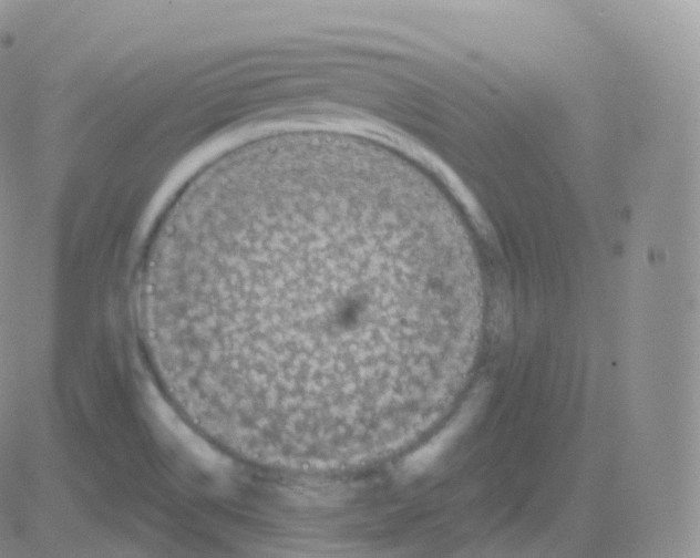 X0000082681514200702232125