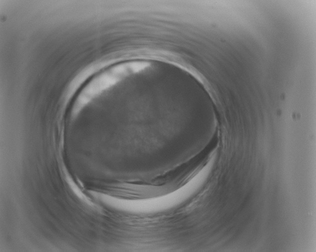 X0000082681515200702232125