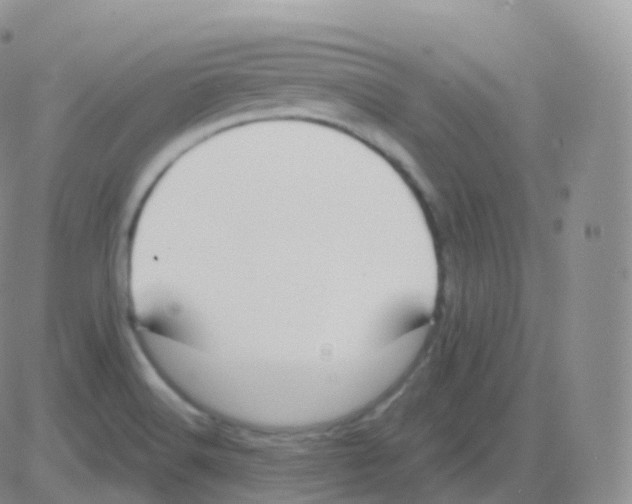 X0000082681516200702232125