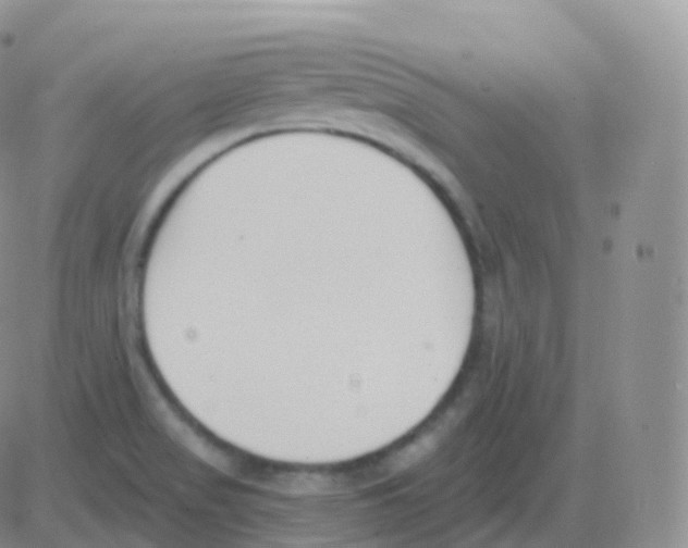 X0000082681517200702232125