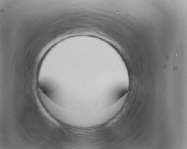 X0000082681518200702232125