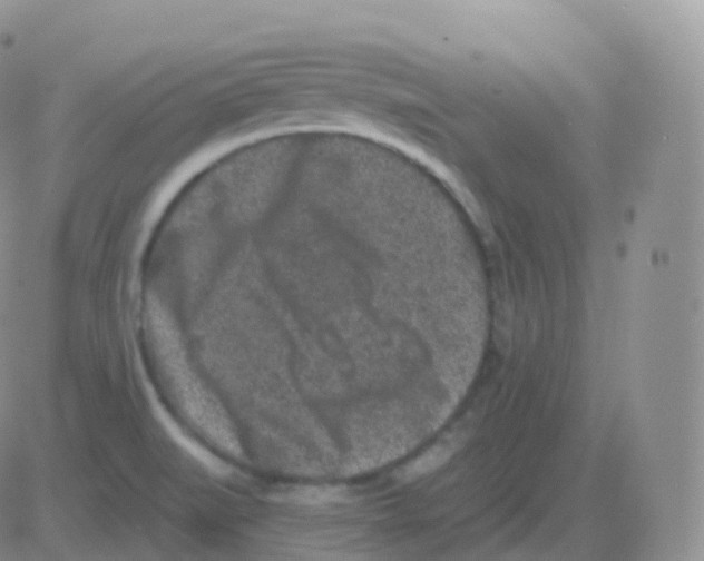 X0000082681519200702232125