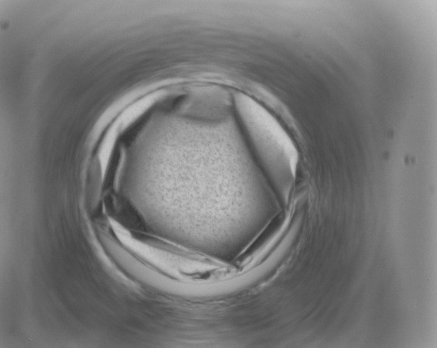 X0000082681520200702232125