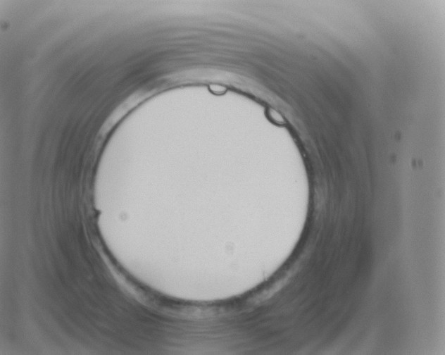 X0000082681521200702232125