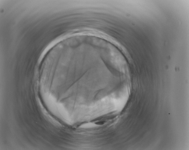 X0000082681522200702232125