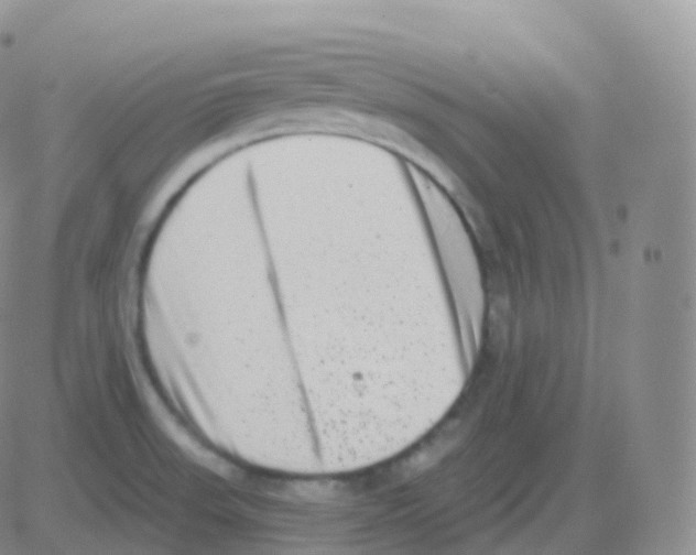 X0000082681523200702232125