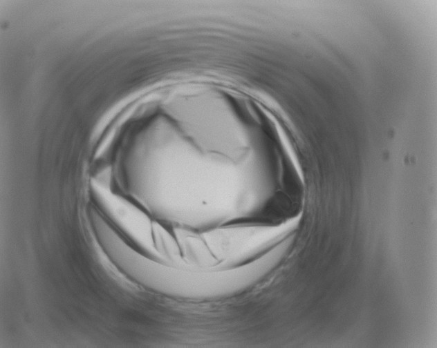 X0000082681524200702232125