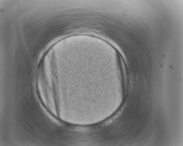 X0000082681525200702232125