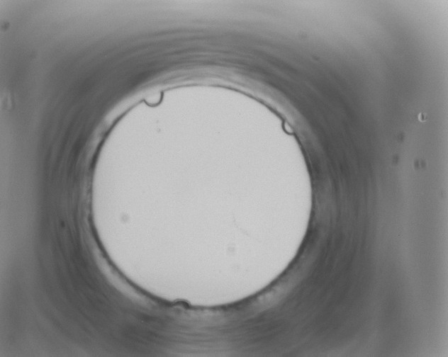 X0000082681526200702232125