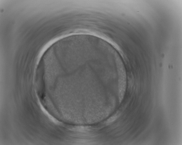 X0000082681527200702232125