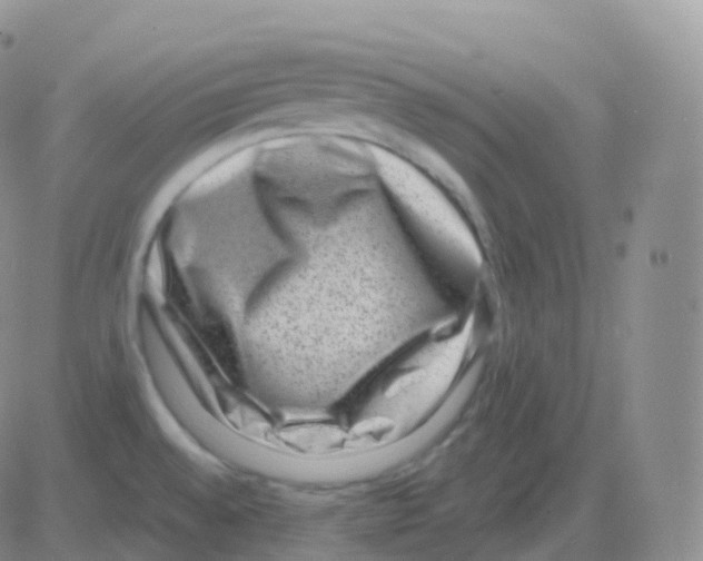 X0000082681528200702232125