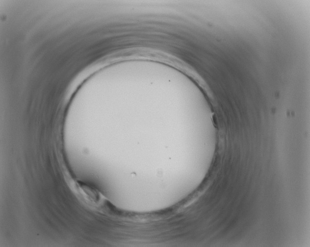 X0000082681530200702232125