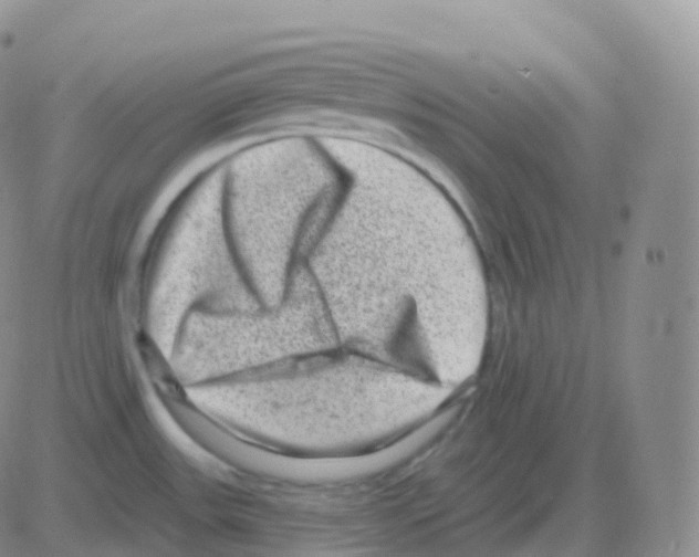 X0000082681531200702232125