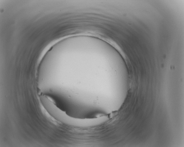 X0000082681532200702232125