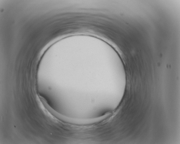 X0000082681534200702232125