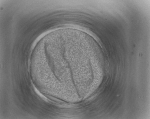 X0000082681535200702232125