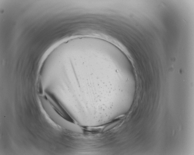 X0000082681536200702232125