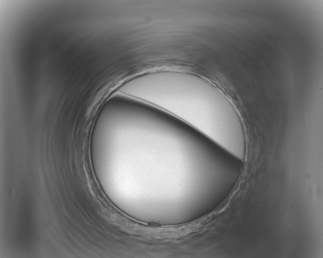 X0000082690001200701261006