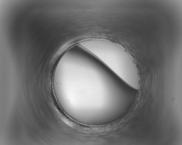 X0000082690005200701261006